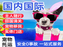 右旗巴丹吉林航空空运国际宠物托运 【国